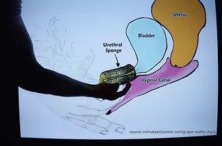 Mr. PussyLicking instructs how to make a cascading raw cunt jizz in POINT OF Guidance